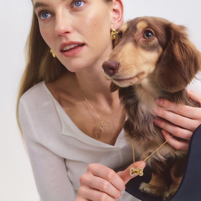 European American Pet Inspired Stainless Steel Cat Earrings Light Luxury High Grade Ear Clips Titanium Steel Cross Border Jewelry