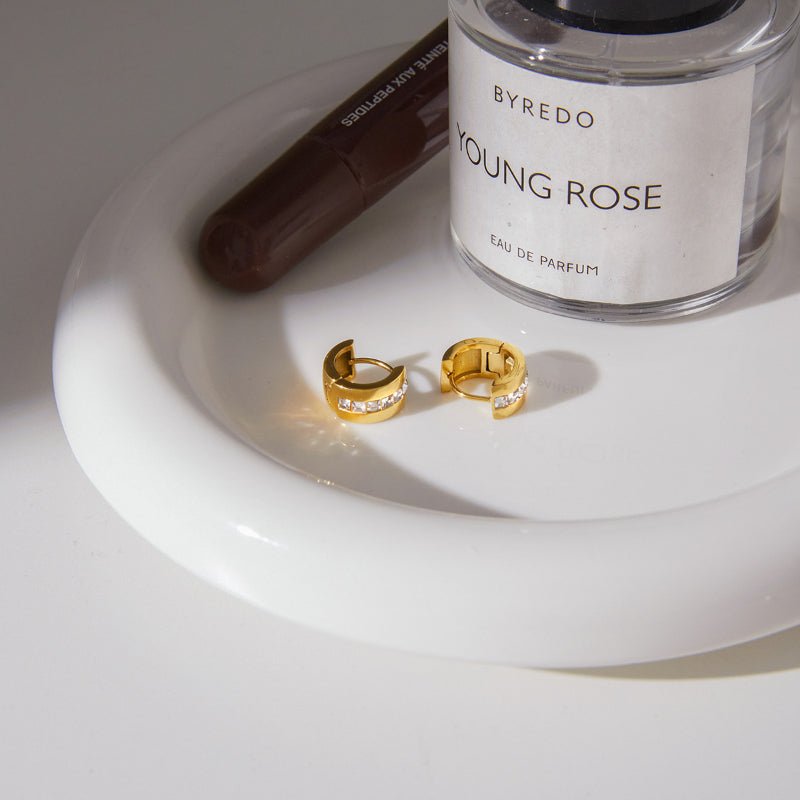 European American Stainless Steel Zircon Earrings Hoop Earrings Titanium Steel Jewelry Light Luxury High Grade Earrings Hypoallergenic