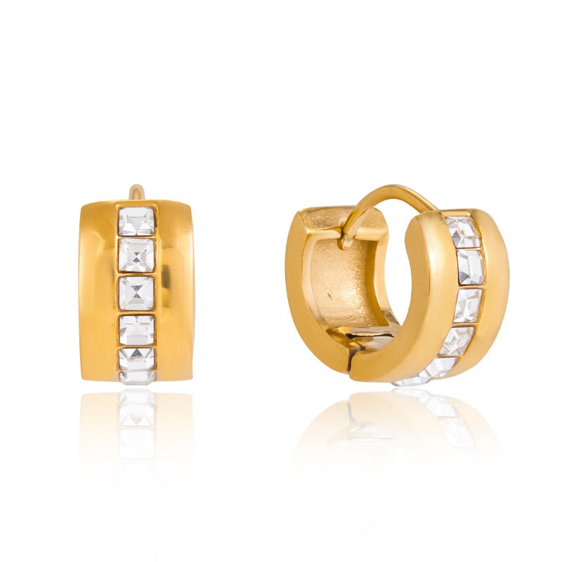 European American Stainless Steel Zircon Earrings Hoop Earrings Titanium Steel Jewelry Light Luxury High Grade Earrings Hypoallergenic